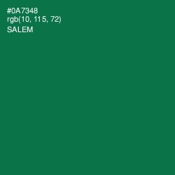 #0A7348 - Salem Color Image