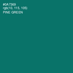 #0A7369 - Pine Green Color Image