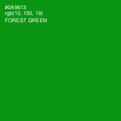 #0A9613 - Forest Green Color Image