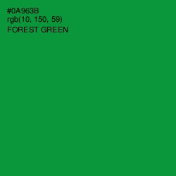 #0A963B - Forest Green Color Image