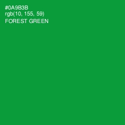 #0A9B3B - Forest Green Color Image