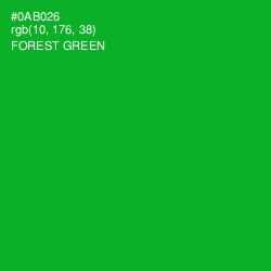 #0AB026 - Forest Green Color Image