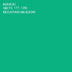 #0AB181 - Mountain Meadow Color Image