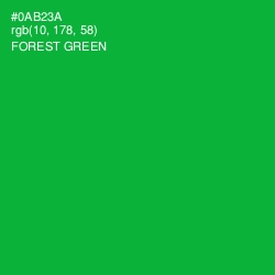 #0AB23A - Forest Green Color Image
