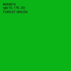 #0AB316 - Forest Green Color Image