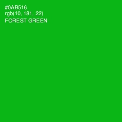 #0AB516 - Forest Green Color Image