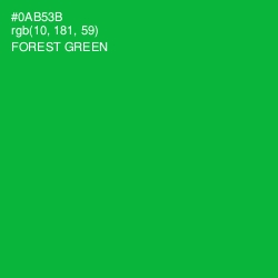 #0AB53B - Forest Green Color Image