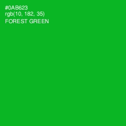 #0AB623 - Forest Green Color Image