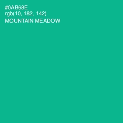 #0AB68E - Mountain Meadow Color Image