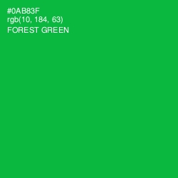 #0AB83F - Forest Green Color Image