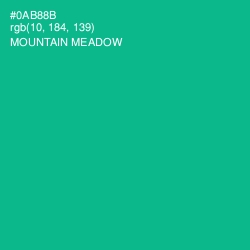 #0AB88B - Mountain Meadow Color Image