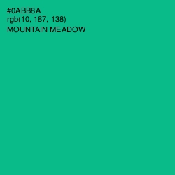 #0ABB8A - Mountain Meadow Color Image