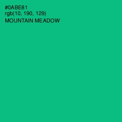 #0ABE81 - Mountain Meadow Color Image