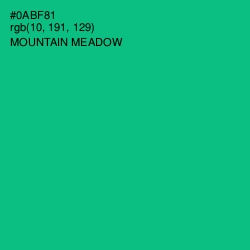 #0ABF81 - Mountain Meadow Color Image