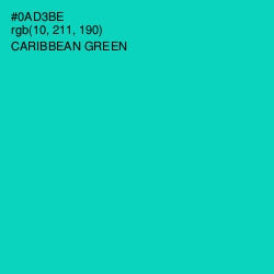 #0AD3BE - Caribbean Green Color Image