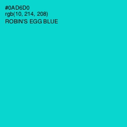 #0AD6D0 - Robin's Egg Blue Color Image