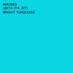 #0AD6E3 - Bright Turquoise Color Image