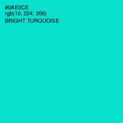 #0AE0CE - Bright Turquoise Color Image