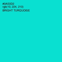 #0AE0D2 - Bright Turquoise Color Image