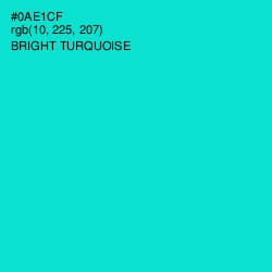 #0AE1CF - Bright Turquoise Color Image
