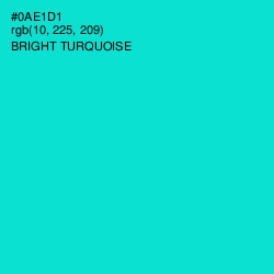 #0AE1D1 - Bright Turquoise Color Image