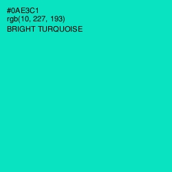 #0AE3C1 - Bright Turquoise Color Image