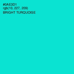 #0AE3D1 - Bright Turquoise Color Image