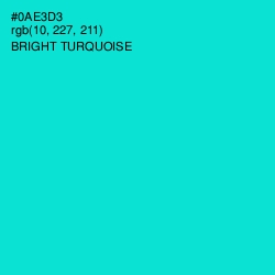 #0AE3D3 - Bright Turquoise Color Image
