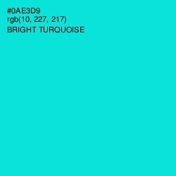 #0AE3D9 - Bright Turquoise Color Image