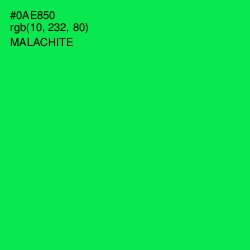 #0AE850 - Malachite Color Image