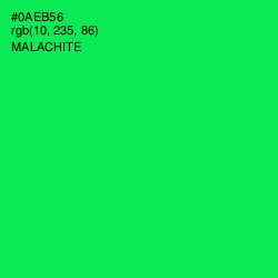 #0AEB56 - Malachite Color Image
