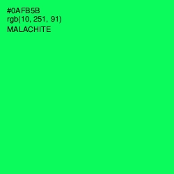 #0AFB5B - Malachite Color Image