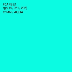 #0AFBE1 - Cyan / Aqua Color Image