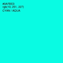 #0AFBE3 - Cyan / Aqua Color Image