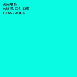 #0AFBE4 - Cyan / Aqua Color Image