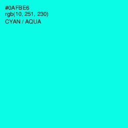 #0AFBE6 - Cyan / Aqua Color Image