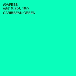 #0AFEBB - Caribbean Green Color Image