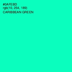 #0AFEBD - Caribbean Green Color Image