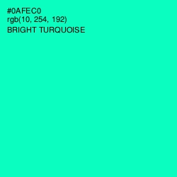 #0AFEC0 - Bright Turquoise Color Image