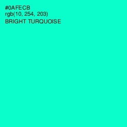 #0AFECB - Bright Turquoise Color Image