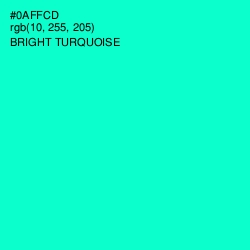 #0AFFCD - Bright Turquoise Color Image