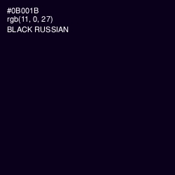 #0B001B - Black Russian Color Image