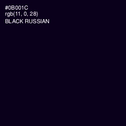 #0B001C - Black Russian Color Image