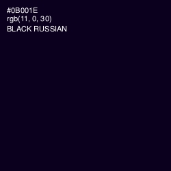 #0B001E - Black Russian Color Image