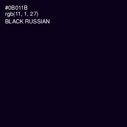 #0B011B - Black Russian Color Image