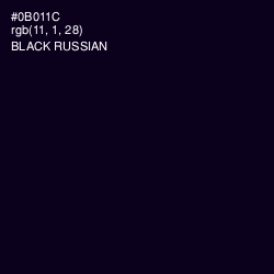 #0B011C - Black Russian Color Image