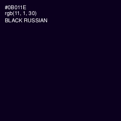 #0B011E - Black Russian Color Image