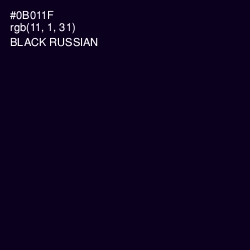 #0B011F - Black Russian Color Image