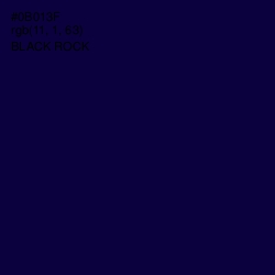 #0B013F - Black Rock Color Image