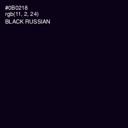 #0B0218 - Black Russian Color Image